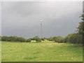 View upslope towards the Llanddona transmission mast