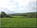 Pasture land at Hendre-boeth farm