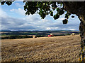 Harvesting in the fields below Drumderfit Farm