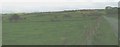 Farmland east of the Glanrafon-Llanddona road