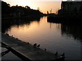 The Quay, Exeter