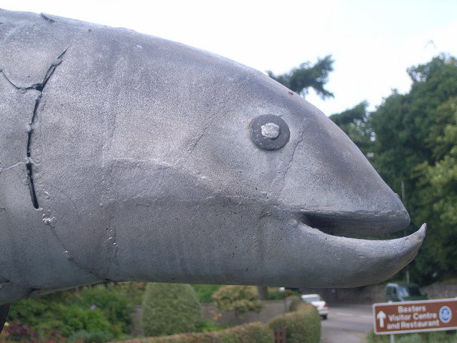 Fochabers Fish - closeup of head