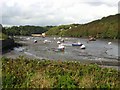 Low tide at Castle Pill