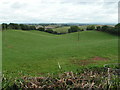 Fields near Exminster looking towards the Exe valley