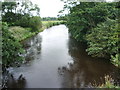 River Wyre