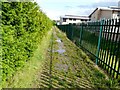 Path behind Alder School