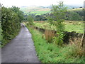 Road from Herod Farm