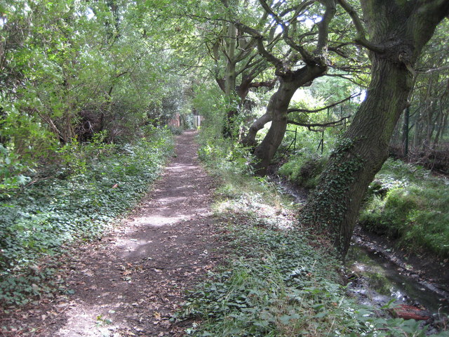 Walton-on-Thames: Cottimore Lane © Nigel Cox cc-by-sa/2.0 :: Geograph ...