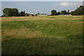 Earthworks of the medieval village of Pendock