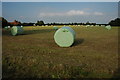 Silage bales at Sledge Green