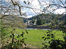 SO5300 : Tintern Abbey by Clive Perrin