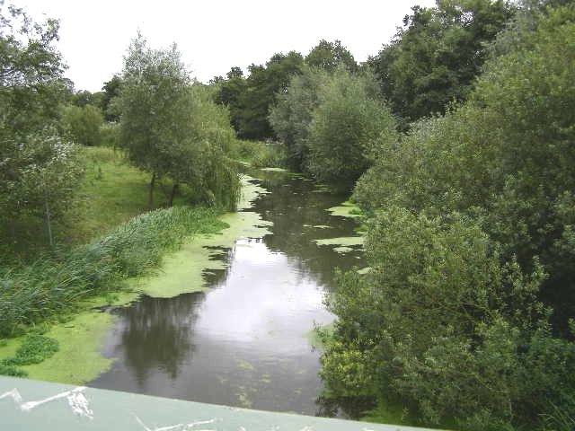 Tranquil River Roding