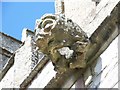 Gargoyle, St Peter