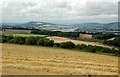 The Tay Estuary