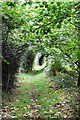 Footpath from Llangrannog to Eisteddfa