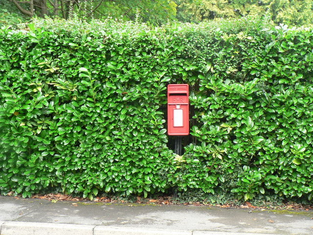West Moors: postbox № BH22 51, Woodside Road