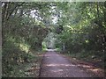 Bridge Carrying Castle Lane over Cycleway 2 (viewed from the west)