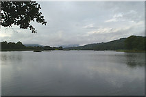 SD3695 : Looking north up Esthwaite Water by David Long