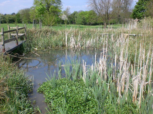 Wildlife pond at Evington Park
