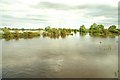 Floods near Moira (4)