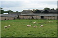 Tymparon Hall Farm