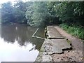 Outlet of Coppice Pond, St Ives Estate, Harden