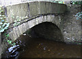 Bridge over the River Ogden