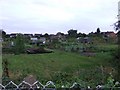 Allotments