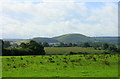 2008 : South from Chapmanslade to Cley Hill