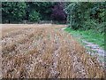 Field off Haymeads Lane