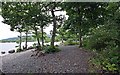 Milarrochy Bay, Loch Lomond