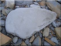 HY2428 : White horse etched on large pebble at Birsay by Nick Mutton