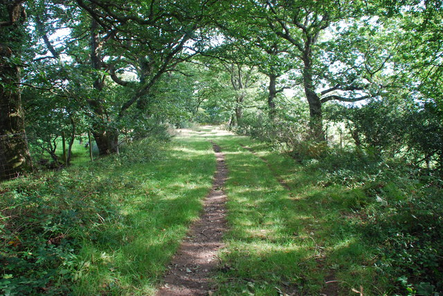 Y Lôn Goed © Alan Fryer cc-by-sa/2.0 :: Geograph Britain and Ireland