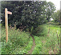 Permissive Footpath to Alkborough Flats