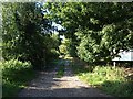 Farm Gate towards Greengore Lane