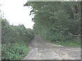 Farm road at Hendre