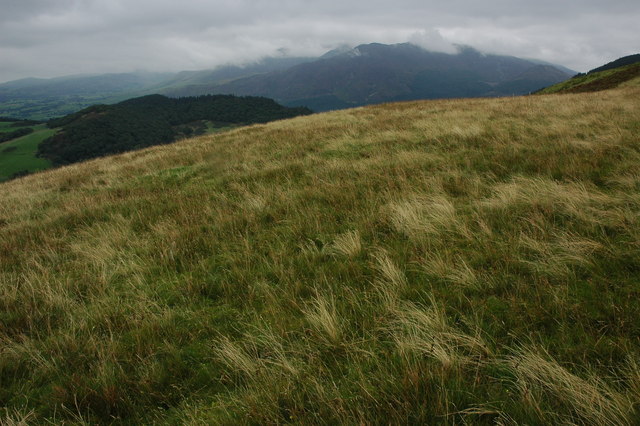 Northern slopes of Broom Fell