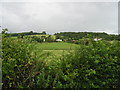 Looking NW through the hedgerow towards Canterbury Road