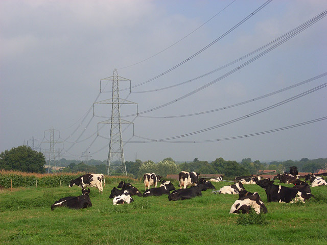 Farmland and pylons, Hook \u00a9 Andrew Smith :: Geograph Britain and Ireland