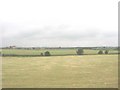 View across a harvested hay field towards the disused cutting of the Red Wharf Bay Railway