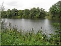 Finger Lake at Priory Country Park