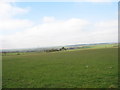 View across a field of cultivated grass towards Hendrefor Farm