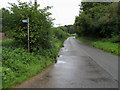 Footpath into Brook Wood