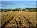 Farmland, Saunderton