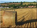 SU8198 : Farmland, Saunderton by Andrew Smith