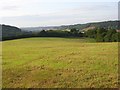 Farmland, Saunderton