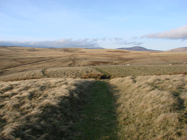 Salters Road in the Cheviot Hills