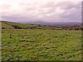 SN3038 : Hilltop pasture near Cae-bwlch-brith, Cenarth by Dylan Moore