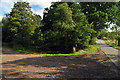 Junction of the public road and forest track into Clash Wood