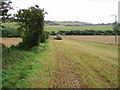 Footpath from the Canterbury Road